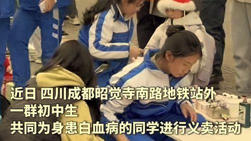 成都中学生在线观看,在线观看学习新体验  第2张